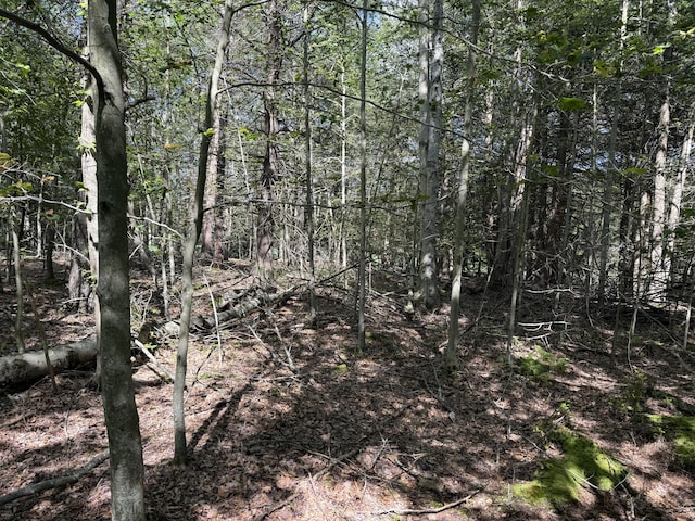 Fawn Rd, Hawley, PA 18428 - photo 3