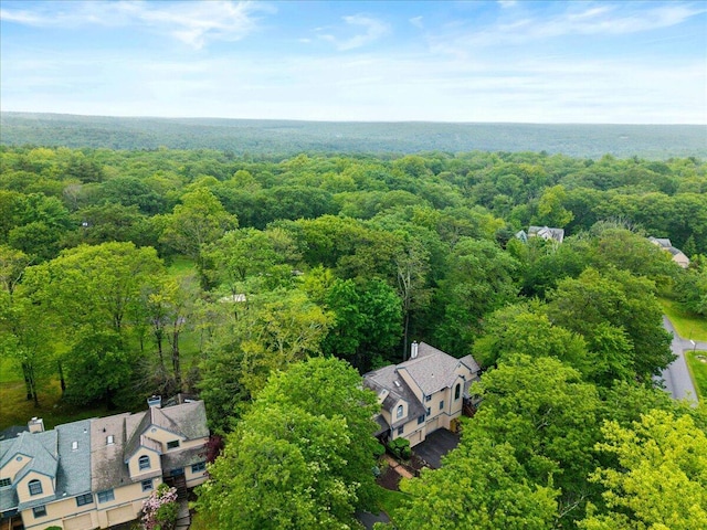 606 Buck Cir, Buck Hill Falls, PA 18323 - bird's eye view of a forest
