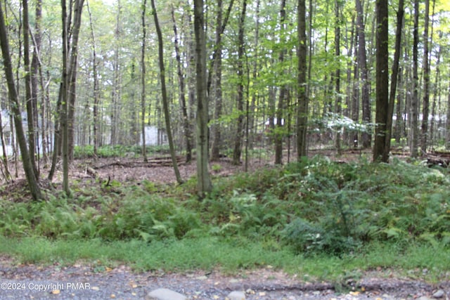 Muskwink Unit Dr1, Pocono Lake, PA 18347