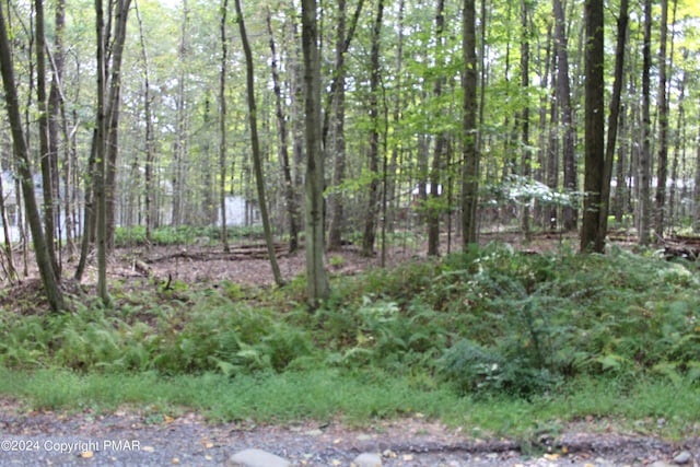 Muskwink Unit Dr1, Pocono Lake PA, 18347 land for sale