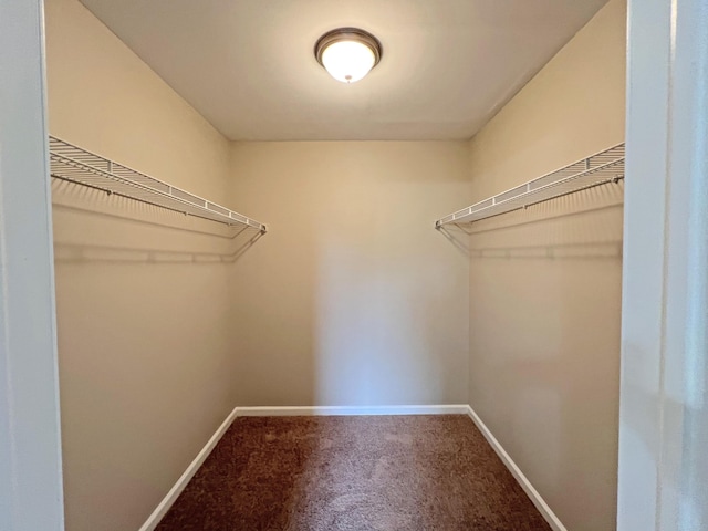 2138 Hill Rd, Effort, PA 18330 - walk in closet featuring carpet