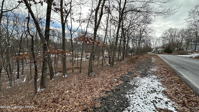 Listing photo 2 for LOT3331 Prestwick Ln, Bushkill PA 18324