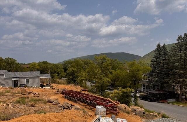 1025 W Princeton Ave, Palmerton, PA 18071 - view of mountain backdrop