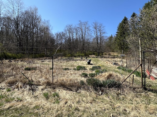 337 Summit Rd, Swiftwater, PA 18370 - view of local wilderness