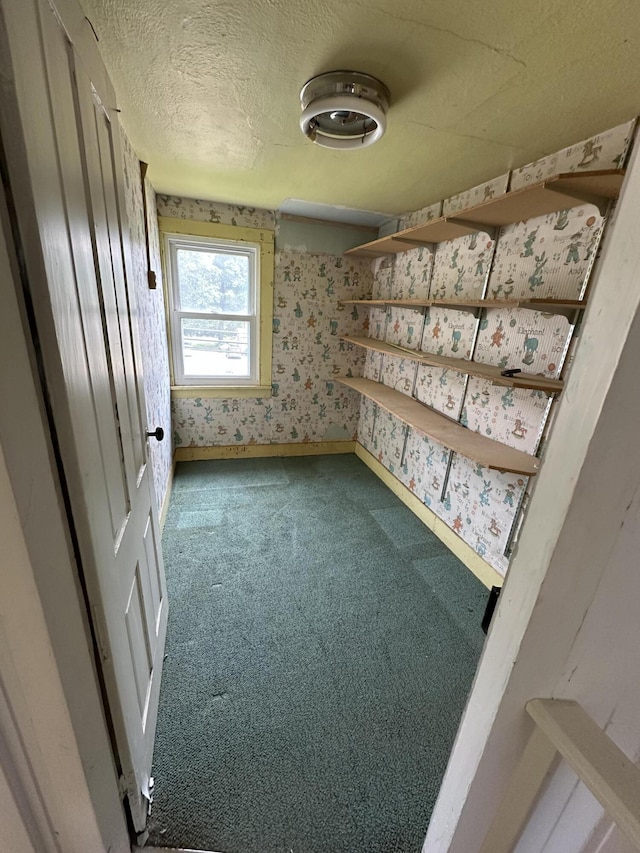 337 Summit Rd, Swiftwater, PA 18370 - carpeted spare room featuring wallpapered walls and a textured ceiling