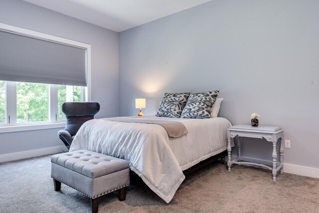 177 Wolf Hollow Rd, Lake Harmony, PA 18624 - carpeted bedroom with baseboards