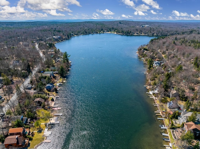 177 Wolf Hollow Rd, Lake Harmony, PA 18624 - bird's eye view featuring a wooded view, a water view, and a residential view