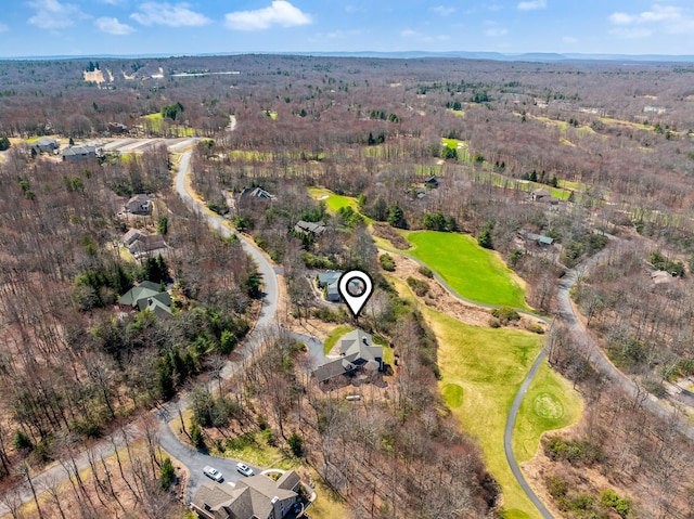 177 Wolf Hollow Rd, Lake Harmony, PA 18624 - birds eye view of property