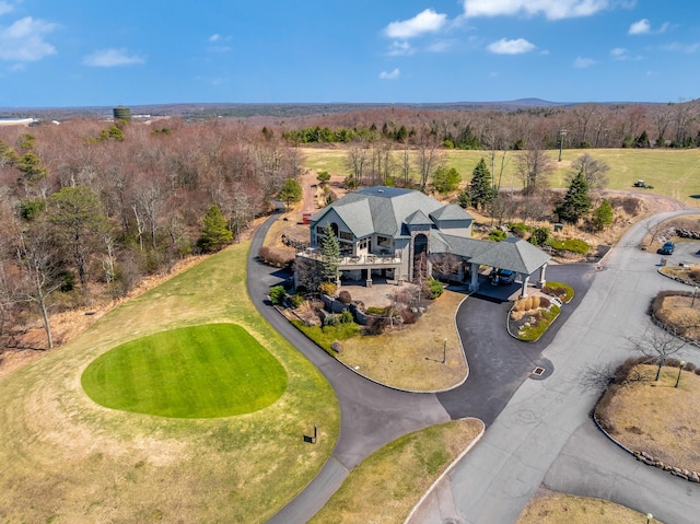 177 Wolf Hollow Rd, Lake Harmony, PA 18624 - birds eye view of property