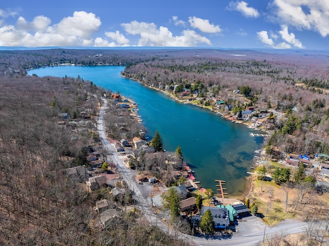 177 Wolf Hollow Rd, Lake Harmony, PA 18624 - birds eye view of property with a water view and a forest view