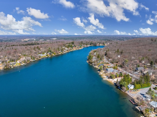 177 Wolf Hollow Rd, Lake Harmony, PA 18624 - bird's eye view featuring a water view