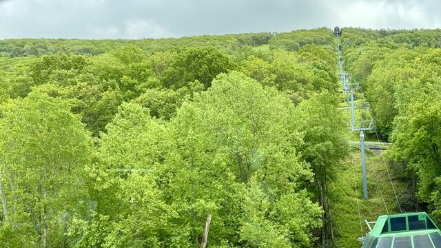 422 Oak Ct, Tannersville, PA 18372 - photo 34