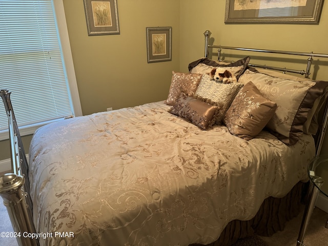 bedroom with multiple windows