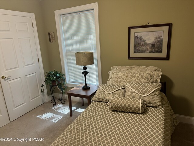 living area featuring baseboards and carpet