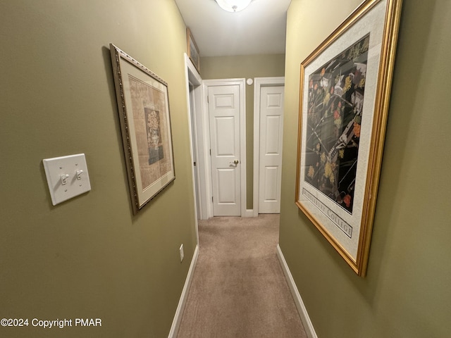 hallway with baseboards and carpet floors