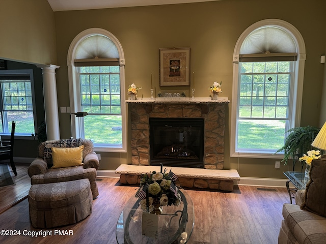 living room featuring plenty of natural light, wood finished floors, and a fireplace