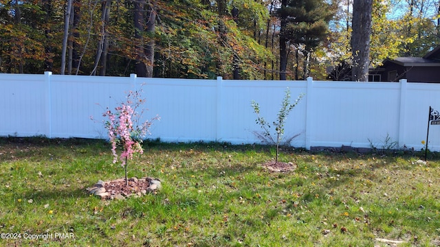 view of yard featuring a fenced backyard