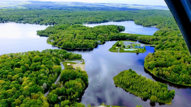 318 N Arrow Dr, Pocono Lake, PA 18347 - bird's eye view of a forest and a nearby body of water
