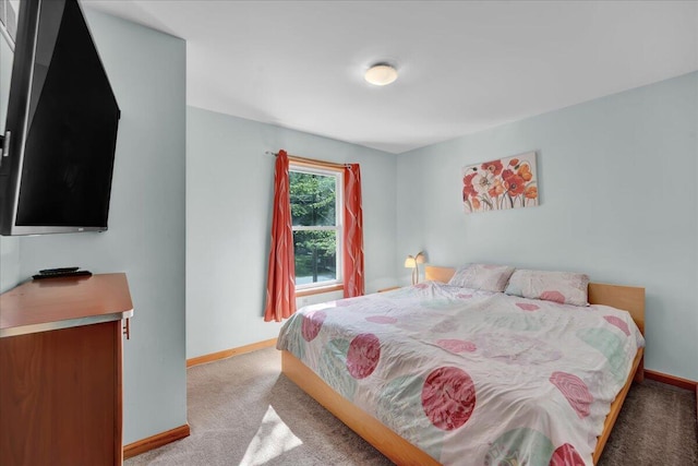 318 N Arrow Dr, Pocono Lake, PA 18347 - bedroom featuring baseboards and light carpet