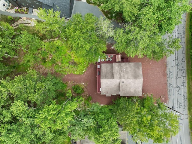 318 N Arrow Dr, Pocono Lake, PA 18347 - view of subject property