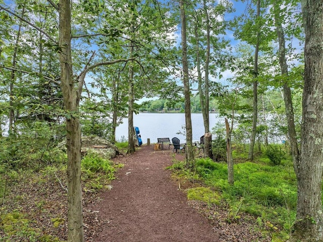 318 N Arrow Dr, Pocono Lake, PA 18347 - view of yard with a water view