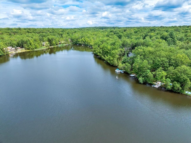 318 N Arrow Dr, Pocono Lake, PA 18347 - drone / aerial view of a large body of water