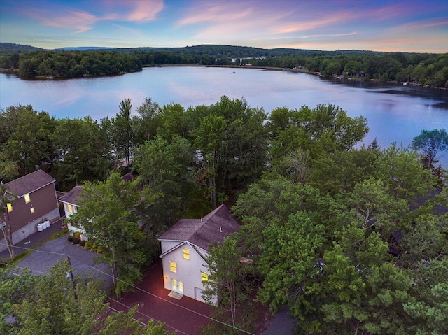 318 N Arrow Dr, Pocono Lake, PA 18347 - drone / aerial view of a large body of water and a forest