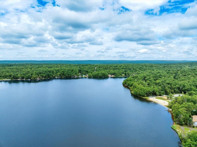 318 N Arrow Dr, Pocono Lake, PA 18347 - drone / aerial view of a forest and a large body of water
