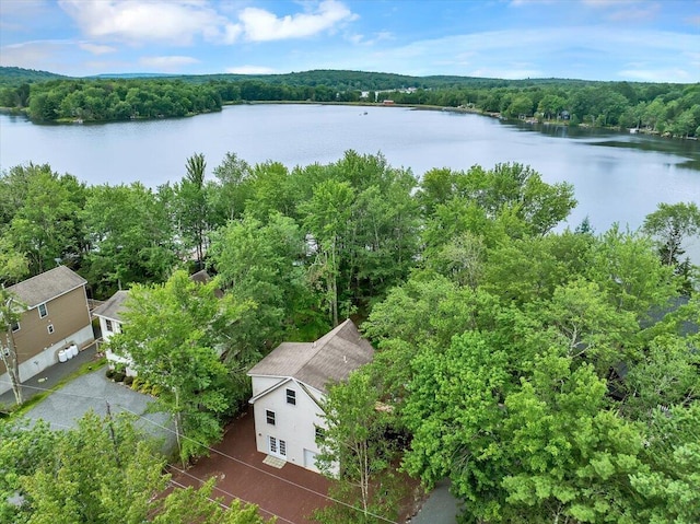 318 N Arrow Dr, Pocono Lake, PA 18347 - aerial view of a heavily wooded area and a nearby body of water