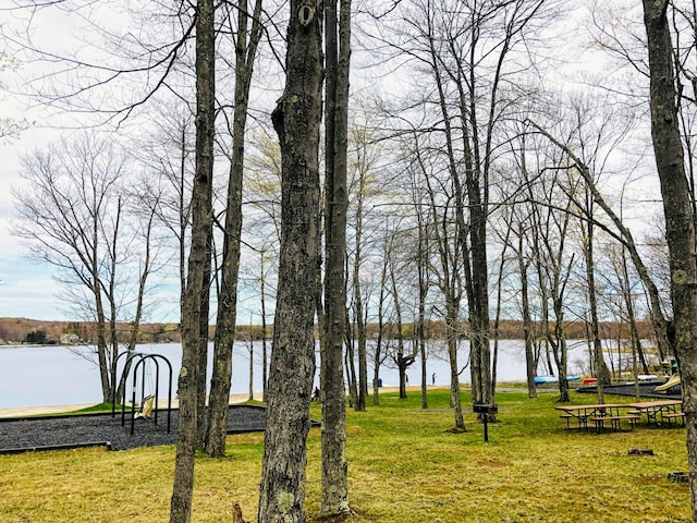 318 N Arrow Dr, Pocono Lake, PA 18347 - water view
