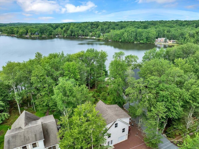 318 N Arrow Dr, Pocono Lake, PA 18347 - bird's eye view of a heavily wooded area and a nearby body of water