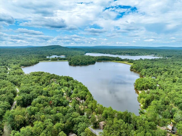 318 N Arrow Dr, Pocono Lake, PA 18347 - drone / aerial view of a nearby body of water
