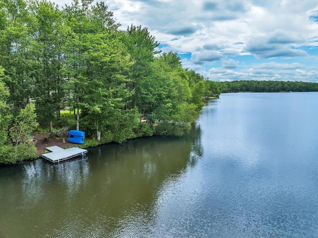 318 N Arrow Dr, Pocono Lake, PA 18347 - water view featuring a heavily wooded area