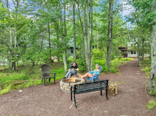 318 N Arrow Dr, Pocono Lake, PA 18347 - surrounding community featuring an outdoor fire pit
