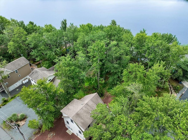 318 N Arrow Dr, Pocono Lake, PA 18347 - aerial view