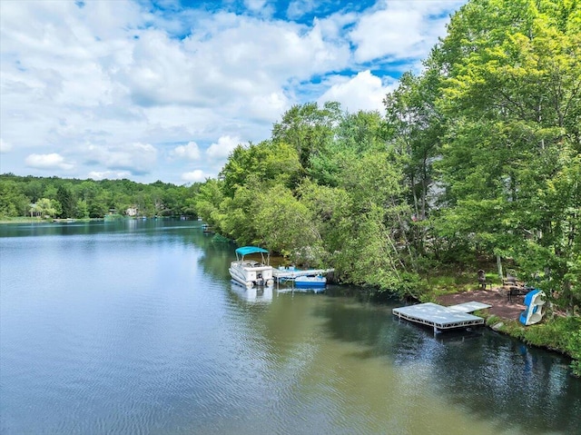 318 N Arrow Dr, Pocono Lake, PA 18347 - dock area featuring a water view and a wooded view
