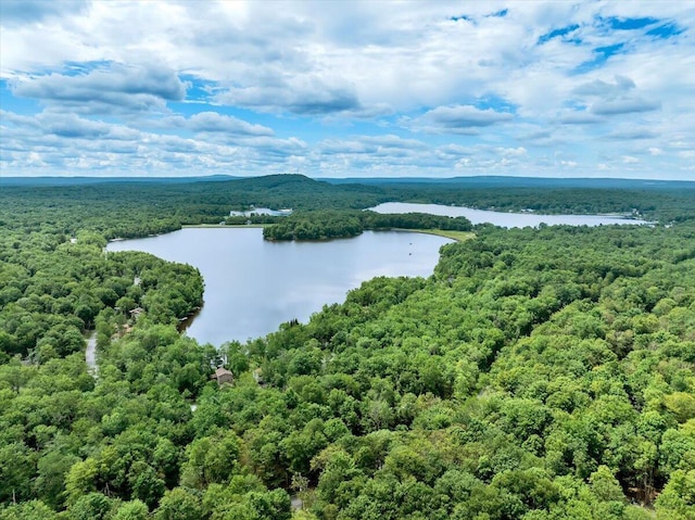 318 N Arrow Dr, Pocono Lake, PA 18347 - bird's eye view of a heavily wooded area and a nearby body of water