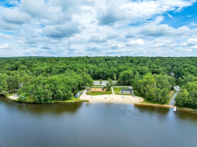 318 N Arrow Dr, Pocono Lake, PA 18347 - drone / aerial view of a heavily wooded area and a large body of water