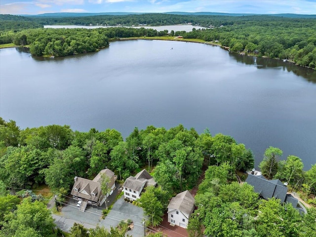318 N Arrow Dr, Pocono Lake, PA 18347 - aerial view of a nearby body of water