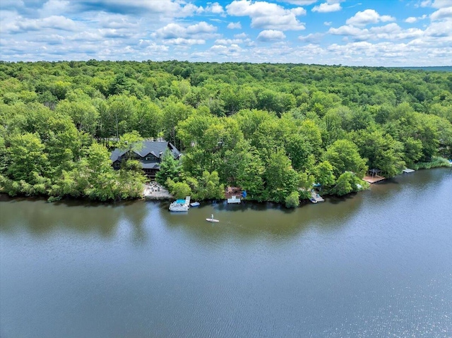 318 N Arrow Dr, Pocono Lake, PA 18347 - drone / aerial view of a forest and a large body of water
