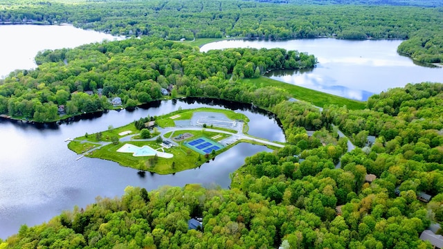 318 N Arrow Dr, Pocono Lake, PA 18347 - bird's eye view of a forest and a large body of water