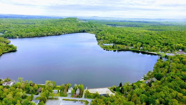 318 N Arrow Dr, Pocono Lake, PA 18347 - bird's eye view of a forest and a large body of water