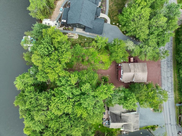 318 N Arrow Dr, Pocono Lake, PA 18347 - aerial view