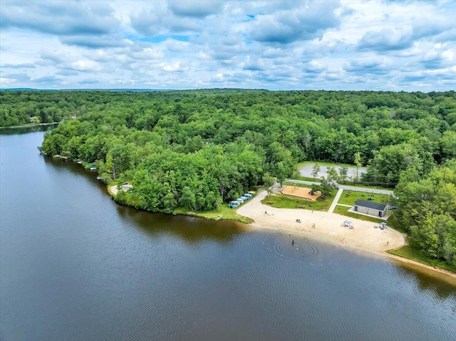 318 N Arrow Dr, Pocono Lake, PA 18347 - bird's eye view of a heavily wooded area and a large body of water