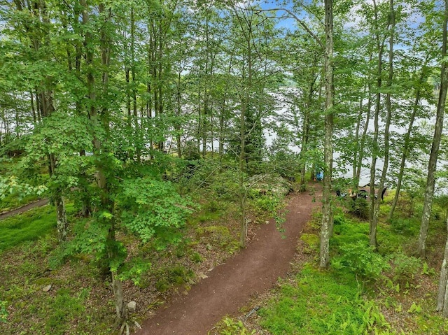 318 N Arrow Dr, Pocono Lake, PA 18347 - view of undeveloped land