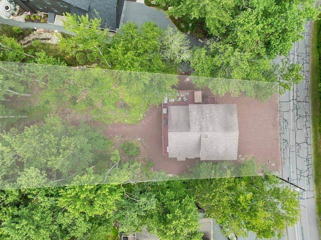 318 N Arrow Dr, Pocono Lake, PA 18347 - view of subject property