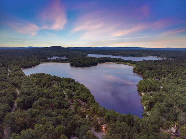 318 N Arrow Dr, Pocono Lake, PA 18347 - bird's eye view of a forest and a large body of water