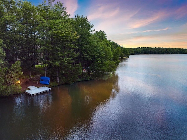 318 N Arrow Dr, Pocono Lake, PA 18347 - water view with a heavily wooded area