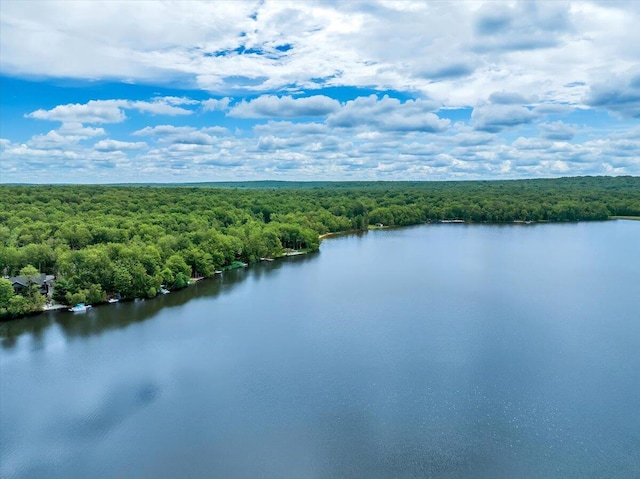 318 N Arrow Dr, Pocono Lake, PA 18347 - water view featuring a heavily wooded area