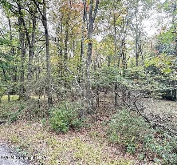 A143 Rosewood Dr, Jim Thorpe, PA 18229 - photo 11